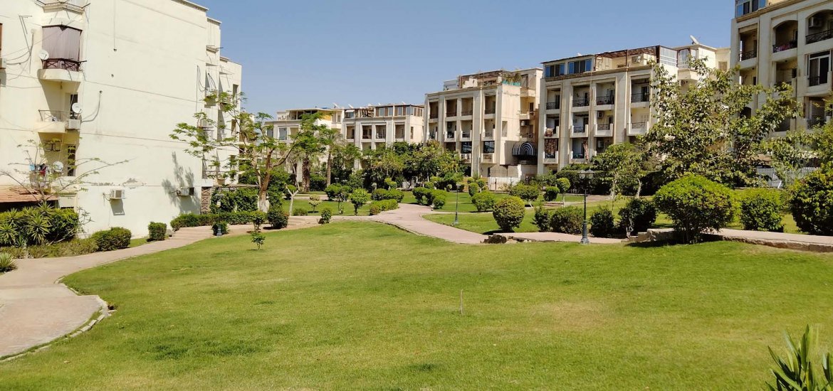 Sheikh Zayed City - 5