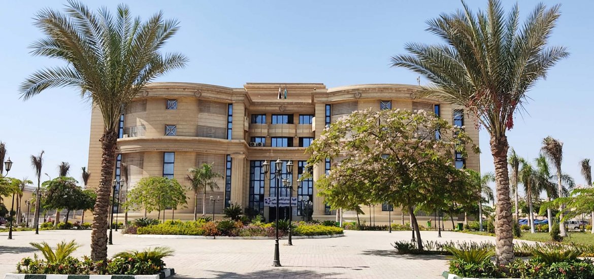 Sheikh Zayed City - 9