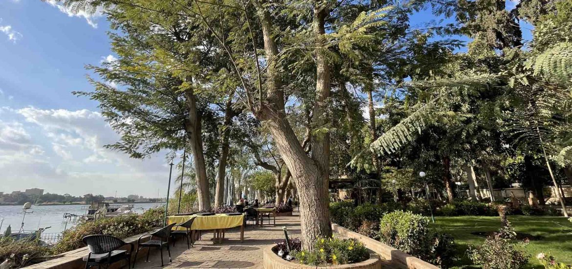 Maadi - 12