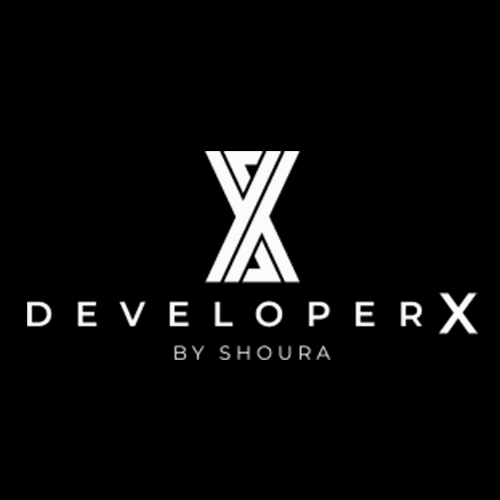 Developer X